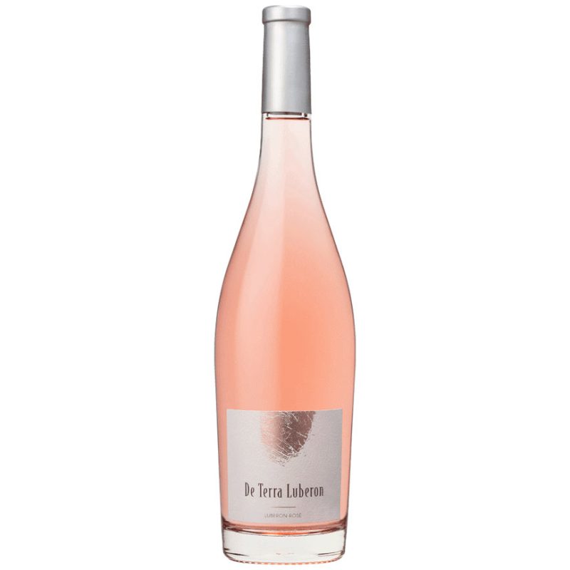 De Terra Luberon rose