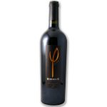 Phi-ling - tannat & Cabernet Sauvignon